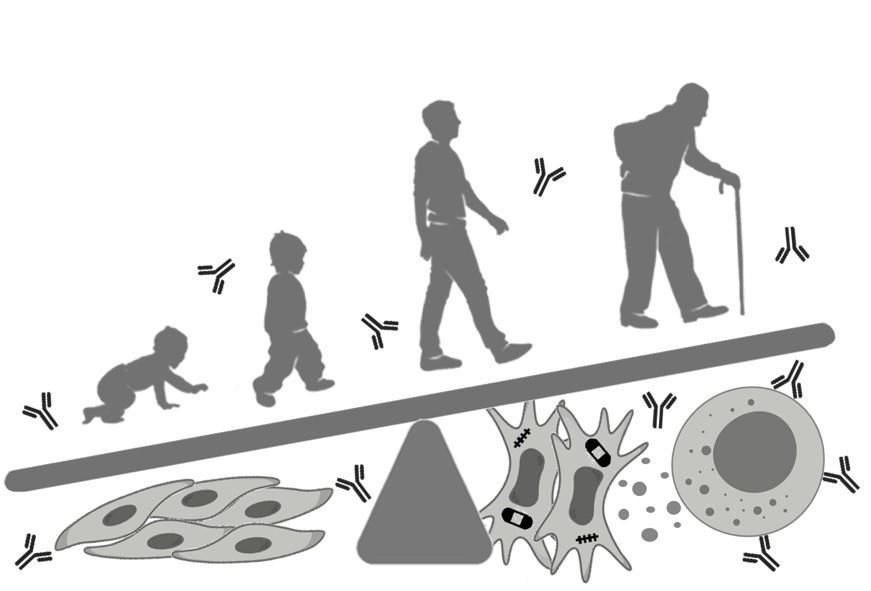 Image generated by DALL-E 3. Prompt: plasma proteome and aging